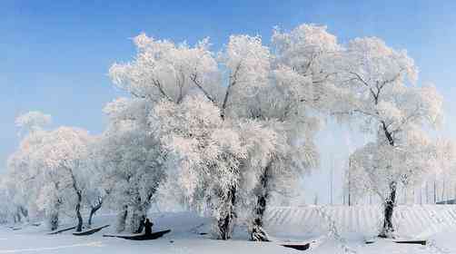 雪乡旅游几月份去合适？雪乡自由行攻略