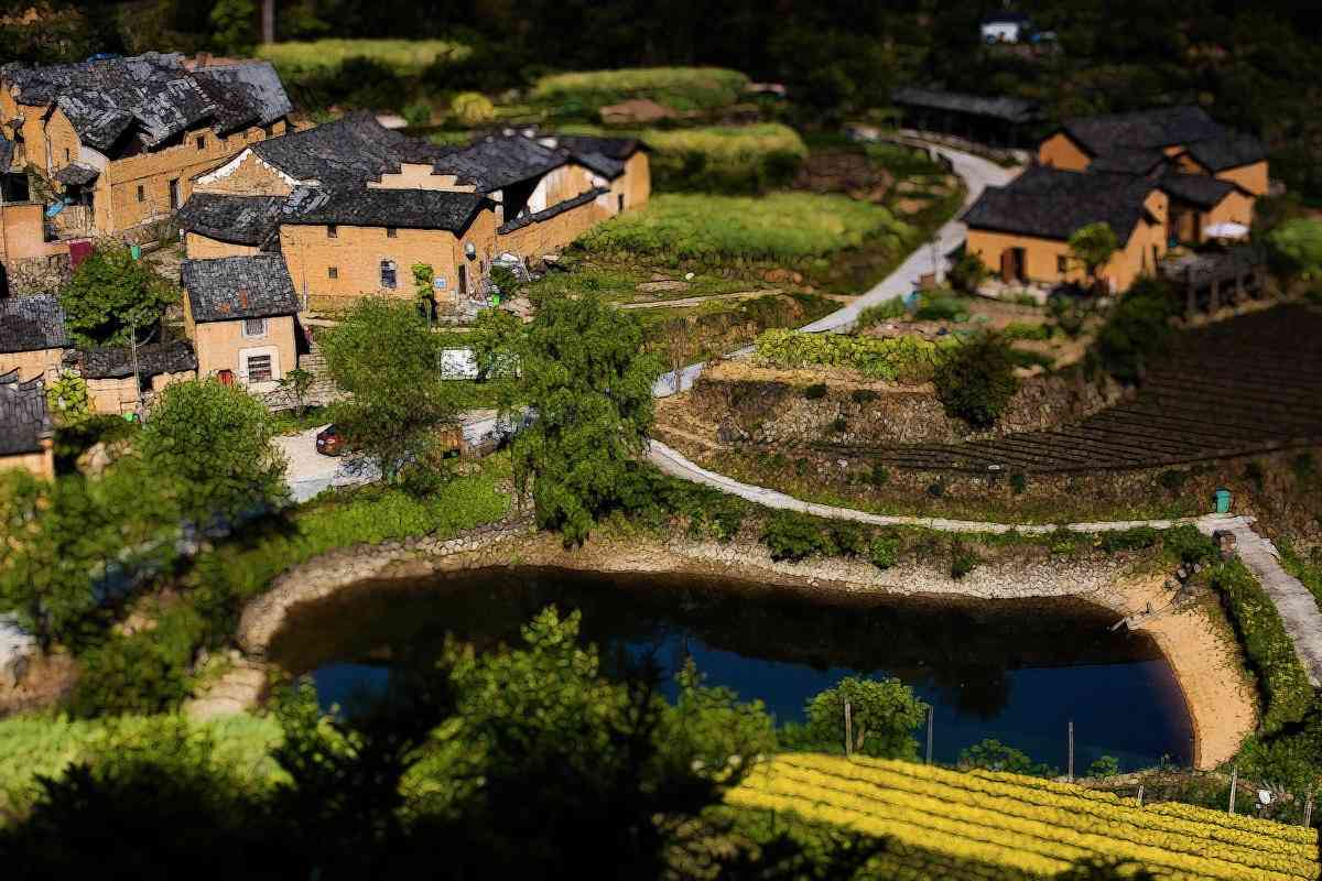江浙沪小众旅游地推荐，丽水松阳旅游值得去