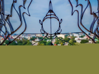 只能自己拿取老挝签证吗？