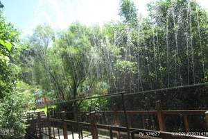 伊春汤旺河石林红星火山岩公园两日游