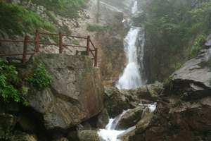 湖熟菊香园赏菊花海 杨柳湖1日游(中老年团 买一赠一)