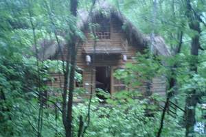 <苏州到伊春住林海人家木屋避暑四日游>游红松树林,住林海木屋