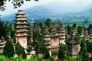 南宁到河南少林寺、洛阳牡丹园、龙门、开封双飞四日游