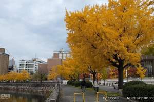 沈阳到日本本州全景赏樱6日游豪华游_去日本旅游_日本旅游报价