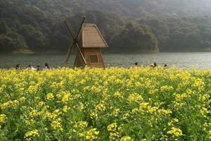 广州石门森林公园赏花一日游