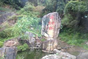 厦门到北溪桃花谷、牛姆林、香道表演一日游-厦门旅游