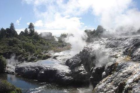 <新西兰-南北岛13日游>玛塔玛塔，观鲸，吉百利工厂