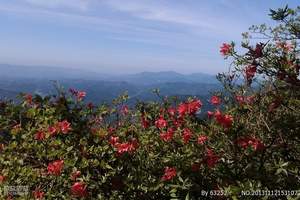 稻城亚丁线路 成都到稻城亚丁 丹巴塔公新都桥 四姑娘山8天