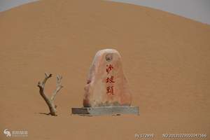 从南宁出发到银川沙湖影视城西夏王陵沙坡头双飞4日游