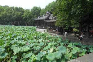 我知父母心·长沙、韶山、桂林、阳朔、南宁、北海三卧10日游