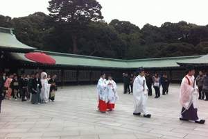 深圳到日本夏日魅力 日本本州六天华丽名汤欢乐之旅(5星)