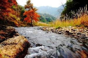湖南通道旅游,长沙到通道万佛山、独岩汽车三日游,含千人合拢宴