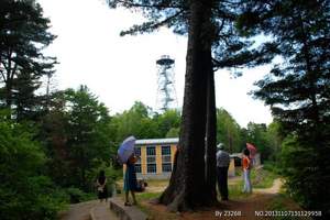 <伊春旅行社天然氧吧休闲避暑三日游>品山珍野味,赏天然景观