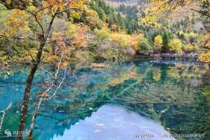 洛阳到九寨旅游 成都、九寨沟、黄龙童话世界双卧七日游