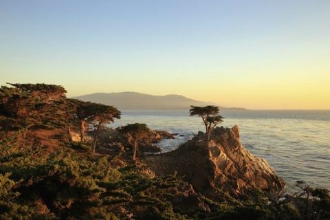 四日旧金山,著名国家公园-优胜美地超值之旅 (洛杉矶接送机)