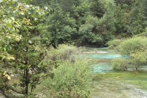 大连去塞班岛直飞7日大连塞班岛旅游团丛林探险大连塞班岛