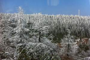 重庆到仙女山滑雪报价，仙女山滑雪二日游