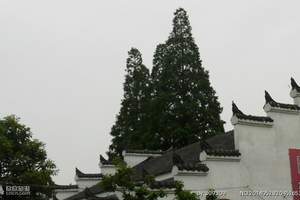 重庆到凤凰旅游报价_凤凰自由行三日游_重庆到凤凰旅游团购