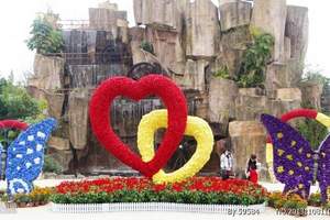 梦幻百花洲(松湖蝶恋)、拓展一天
