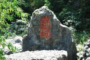 重庆到天意谷报价_天意谷价格_天意谷一日游