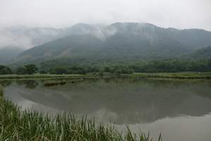 宜昌到大九湖自驾游攻略_神农架大九湖自驾车三日游