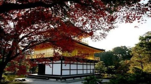 <京都半日游>哲学之道、衹园茶道半日体验(当地游)