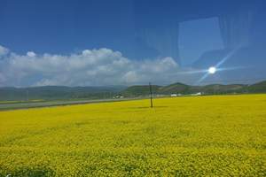 西宁 祁连 门源，张掖，嘉峪关，敦煌，茶卡盐湖，青海湖旅游