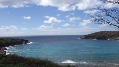 恐龙湾浮潜之旅(Van接送,不含门票)/Hanauma Bay Snorkeling Tour (Van Transfer)