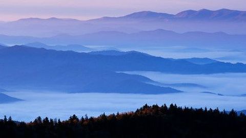 六日旧金山,优胜美地,环球影城,海洋世界,迪士尼乐园欢乐之旅(品质团)(旧金山接机,洛杉矶送机)