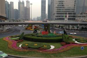 天津到华东旅游 南京、杭州、上海+水乡乌镇双高铁四日