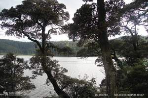 [中秋节旅游]南果梨采摘一日游_马耳山采摘一日游_秋天采摘