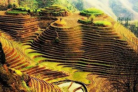 <龙脊金坑大寨1日游>登金佛顶,观梯田云雾(当地游)