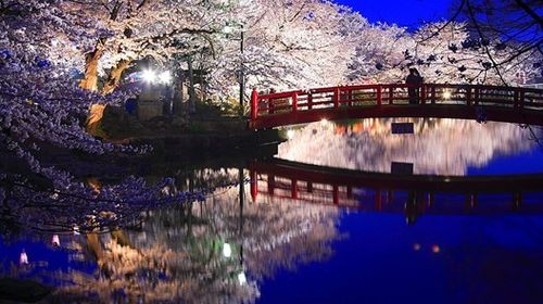 <日本本州6日游>早去晚回,富士山,一天自由活动