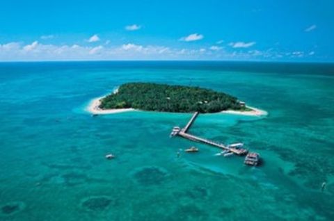 <澳新-海豚岛12日游>南航广州往返,菲兹罗公园,蓝山