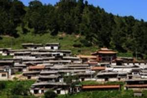 【九色甘南】拉卜楞寺、桑科草原、郎木寺、则岔石林3日游