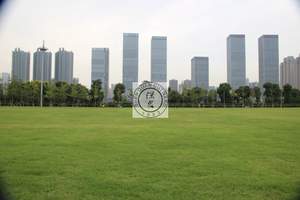 湘潭到橘子洲头沙滩公园一日游