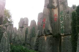 天津到白洋淀荷花大观园/文化苑(赠送嘎子印象)特价一日游
