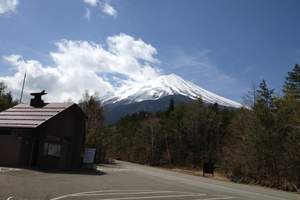 哈尔滨到日本本州7日游/哈尔滨信誉最好的旅行社