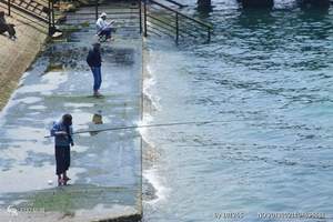青岛旅行社青岛极地海洋+奥帆5D+海上观光门票一日游 惊爆价