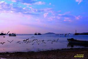 【沈阳到瓜皮岛海滨二日游】瓜皮岛海水怎么样_好吗_在哪多少钱