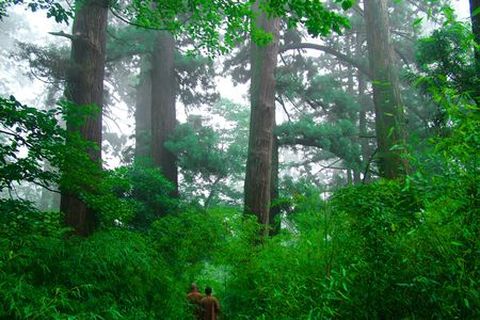 <东天目山自驾2日游>宿龙王湾农庄