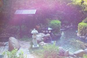 冬天西柏坡滑雪加白鹿温泉（滑雪温泉门票特价）二日游