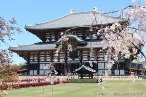 北京到日本 本州经典六天国航直飞(含一天自由活动) 质正纯品