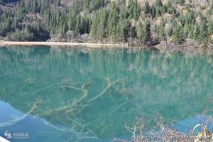 成都 九寨沟 黄龙 松潘古城 都江堰 熊猫基地飞卧7日多少钱
