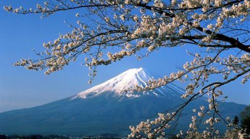 <日本本州6日游>1天自由活动,销售冠军,途牛独家包团