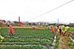 广州去从化摘果、仙沐园温泉一天游