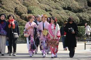 日本本州七日游_1天自由活动_全日空直飞_成都到日本旅游