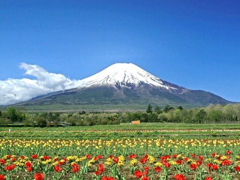 <日本本州6日游>国航,清水寺,不走回头路,奥特莱斯