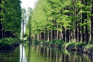 苏州企业团队自组团_苏州出发临安青山湖一日游_苏州康辉旅行社