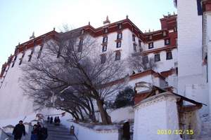 西藏、拉萨旅游 拉萨/纳木措/林芝/江孜/日喀则双卧十日游